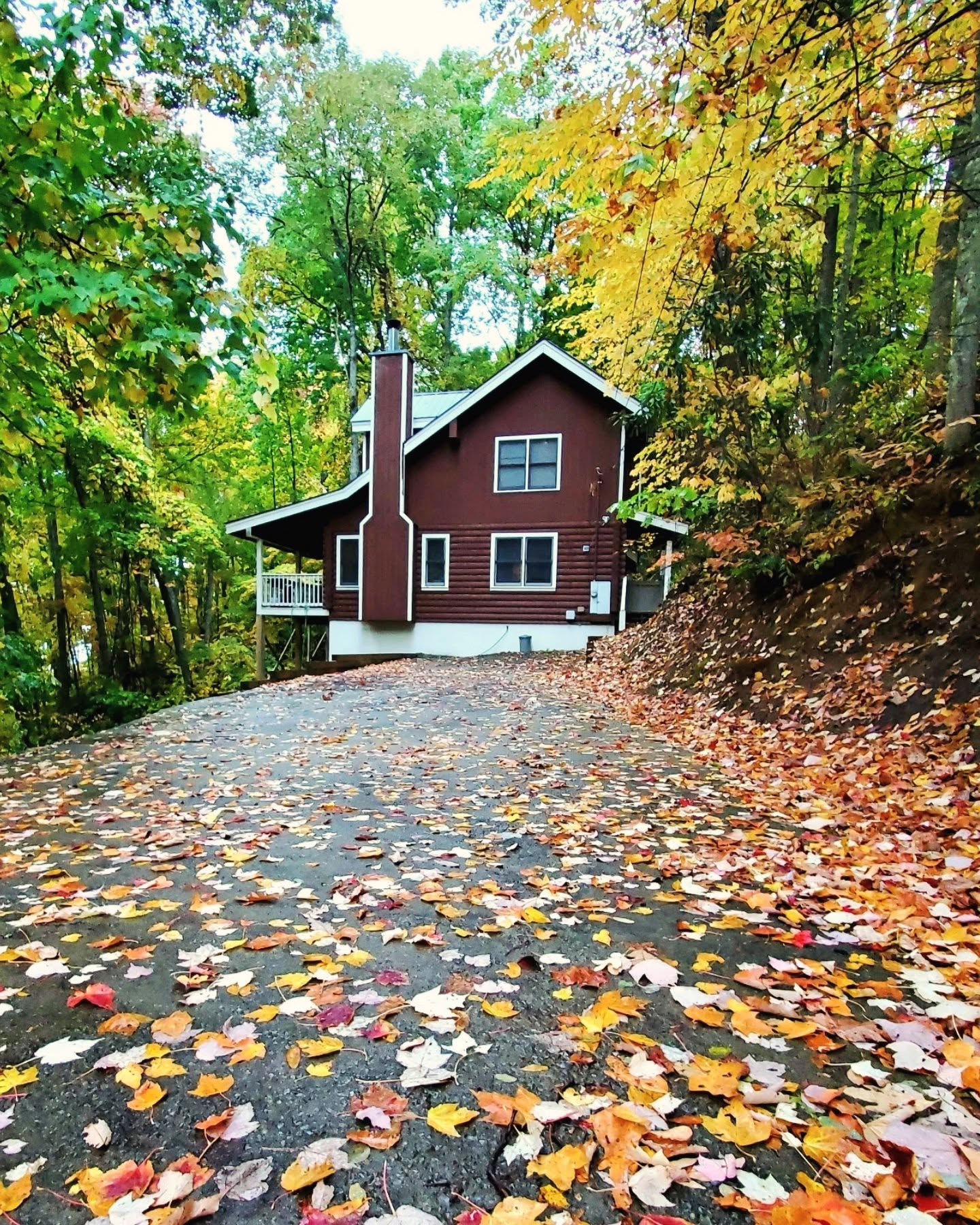Cabin in fall