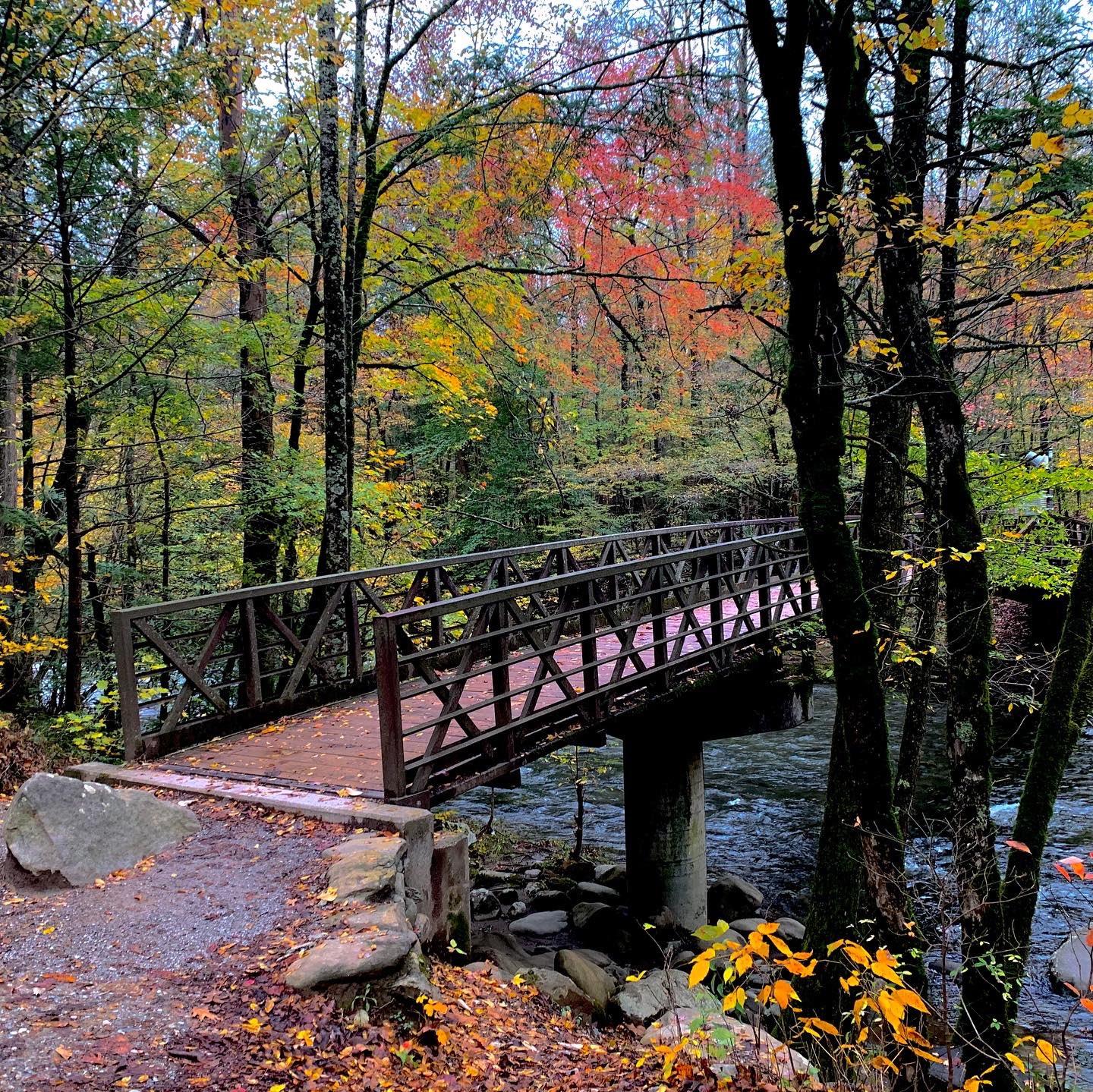 Bridge along the Gatlinburg Trail in fall